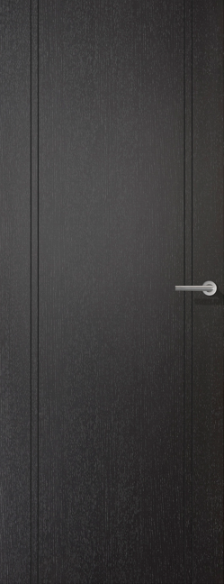 Black door with a silver handle on a dark background