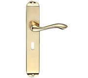ZOO HARDWARE FULTON & BRAY ARUNDEL DOOR HANDLES ON LONG BACKPLATE, POLISHED BRASS - (SOLD IN PAIRS)