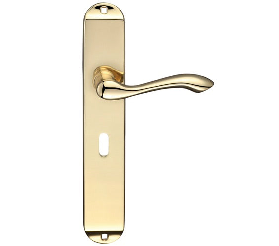 ZOO HARDWARE FULTON & BRAY ARUNDEL DOOR HANDLES ON LONG BACKPLATE, POLISHED BRASS - (SOLD IN PAIRS)