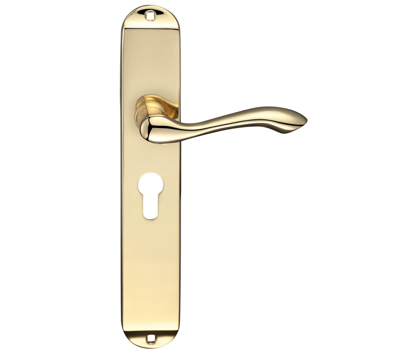 ZOO HARDWARE FULTON & BRAY ARUNDEL DOOR HANDLES ON LONG BACKPLATE, POLISHED BRASS - (SOLD IN PAIRS)