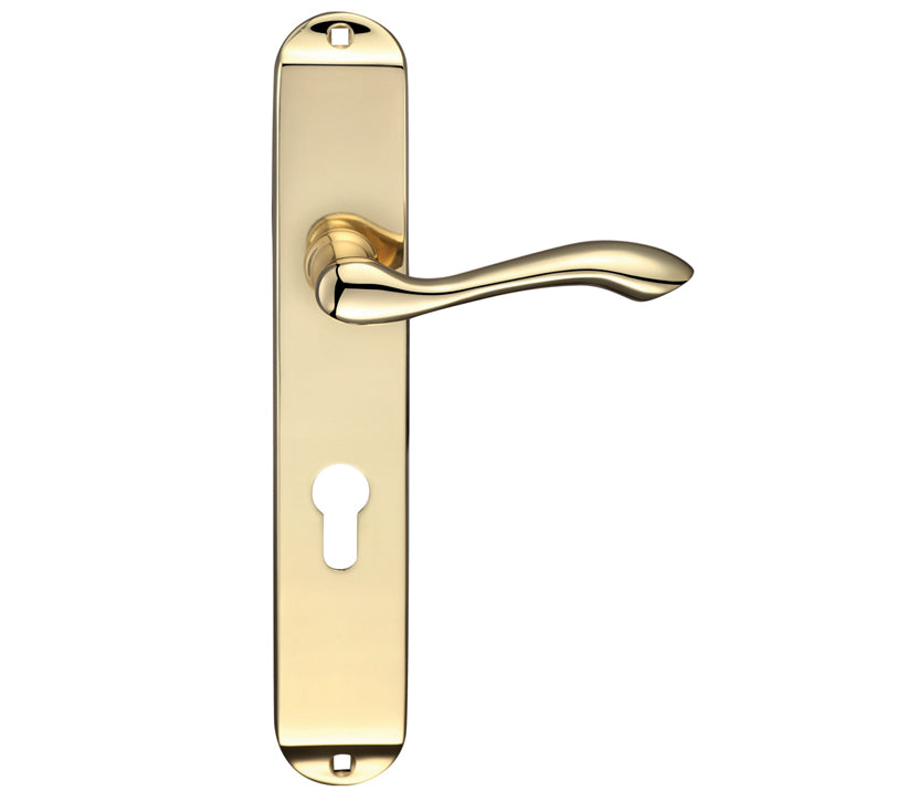 ZOO HARDWARE FULTON & BRAY ARUNDEL DOOR HANDLES ON LONG BACKPLATE, POLISHED BRASS - (SOLD IN PAIRS)