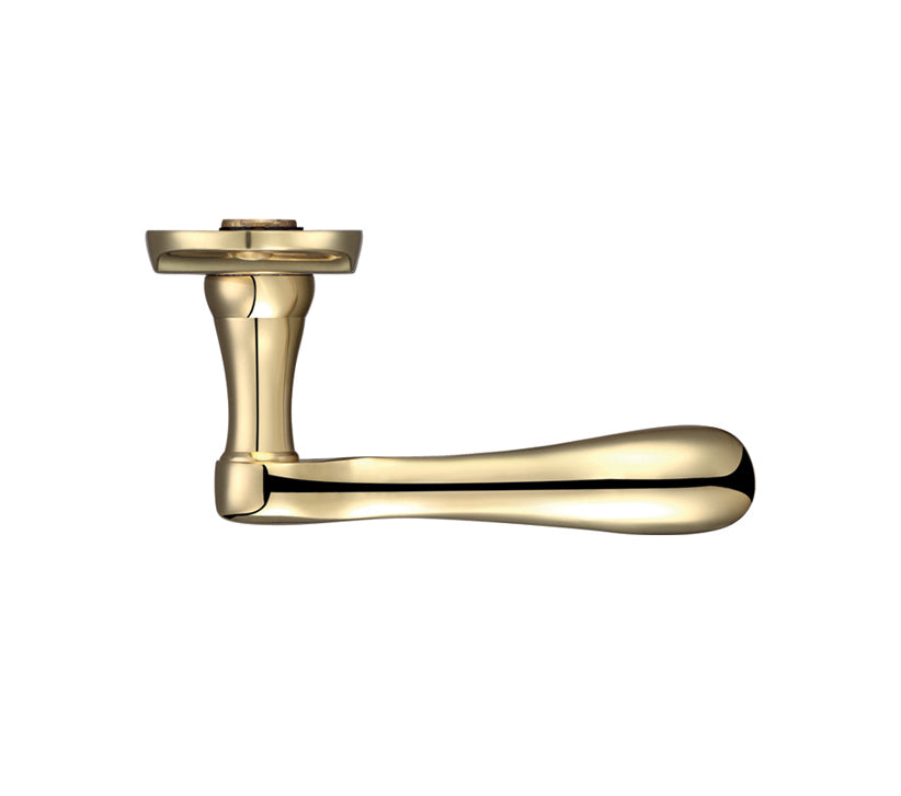ZOO HARDWARE FULTON & BRAY ARUNDEL DOOR HANDLES ON LONG BACKPLATE, POLISHED BRASS - (SOLD IN PAIRS)