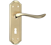 ZOO HARDWARE FULTON & BRAY LINCOLN DOOR HANDLES ON BACKPLATE, DUAL FINISH SATIN BRASS & POLISHED BRASS - (SOLD IN PAIRS)