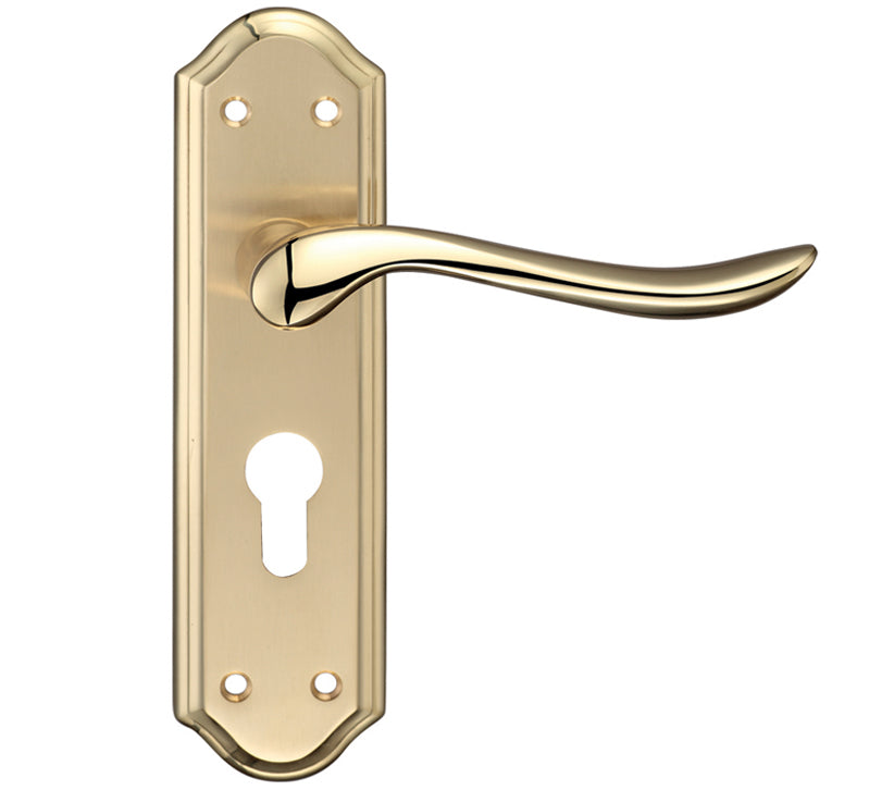 ZOO HARDWARE FULTON & BRAY LINCOLN DOOR HANDLES ON BACKPLATE, DUAL FINISH SATIN BRASS & POLISHED BRASS - (SOLD IN PAIRS)