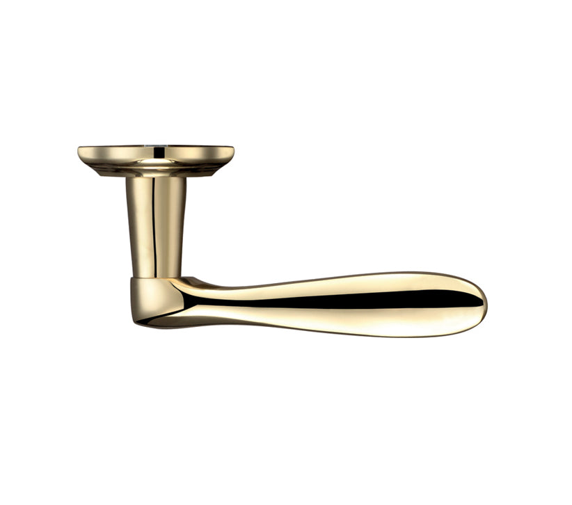 ZOO HARDWARE FULTON & BRAY LINCOLN DOOR HANDLES ON BACKPLATE, DUAL FINISH SATIN BRASS & POLISHED BRASS - (SOLD IN PAIRS)