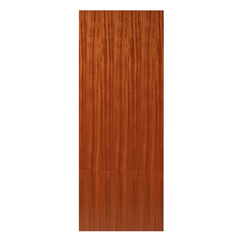 Wooden door panel with a rich brown finish on a white background