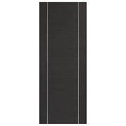 Dark grey interior door with a textured surface on a white background
