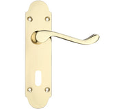 ZOO HARDWARE PROJECT RANGE OXFORD DOOR HANDLES ON BACKPLATE, ELECTRO BRASS - (SOLD IN PAIRS)