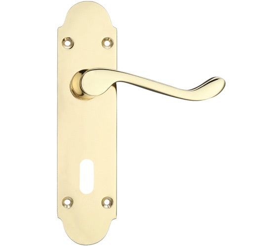ZOO HARDWARE PROJECT RANGE OXFORD DOOR HANDLES ON BACKPLATE, ELECTRO BRASS - (SOLD IN PAIRS)