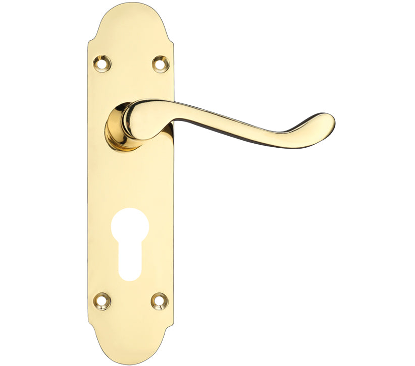 ZOO HARDWARE PROJECT RANGE OXFORD DOOR HANDLES ON BACKPLATE, ELECTRO BRASS - (SOLD IN PAIRS)