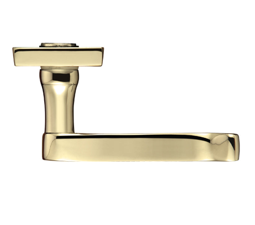 ZOO HARDWARE PROJECT RANGE VICTORIAN SCROLL DOOR HANDLES ON BACKPLATE, ELECTRO BRASS - (SOLD IN PAIRS)
