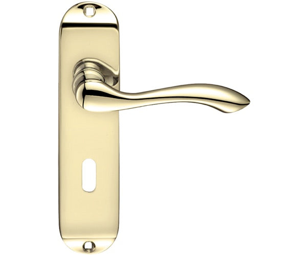 ZOO HARDWARE PROJECT RANGE ARUNDEL DOOR HANDLES ON BACKPLATE, ELECTRO BRASS - (SOLD IN PAIRS)