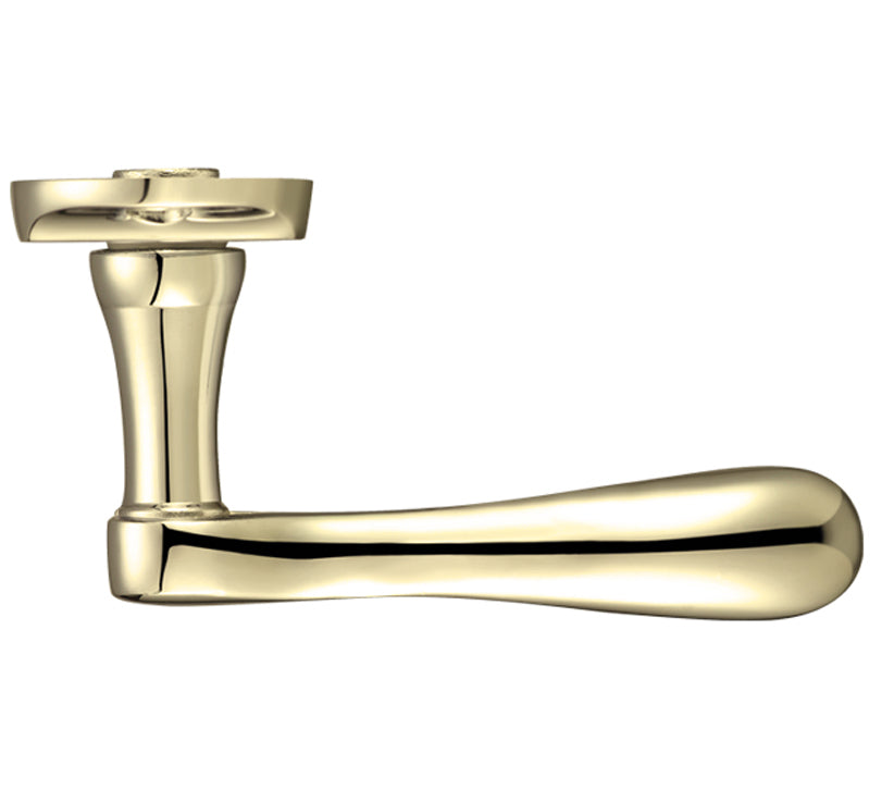 ZOO HARDWARE PROJECT RANGE ARUNDEL DOOR HANDLES ON BACKPLATE, ELECTRO BRASS - (SOLD IN PAIRS)