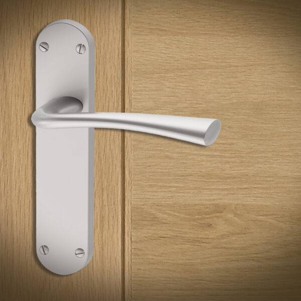Silver door handle on a wooden door