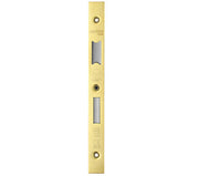 ZOO HARDWARE FACE PLATE AND STRIKE PLATE ACCESSORY PACK FOR DIN LOCK - PVD POLISHED BRASS
