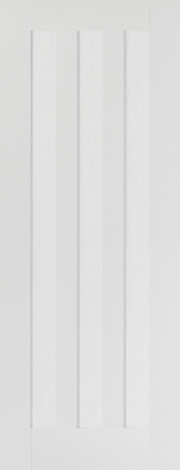White vertical panel door on a white background