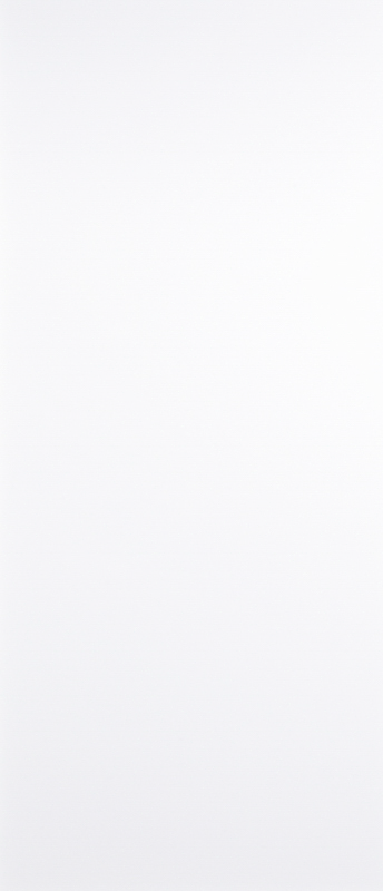 White flush door on white background 