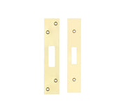 ZOO HARDWARE FACE PLATE AND STRIKE PLATE ACCESSORY PACK, POLISHED BRASS - ZLAP11BPBUL