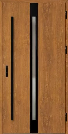 Front door with black and glass panels