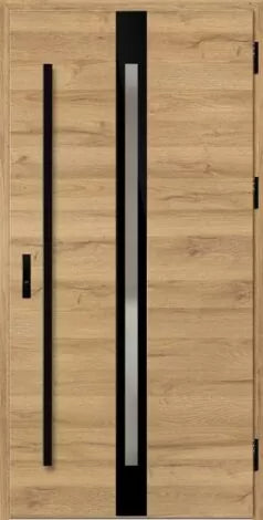 Front door with black and glass panels