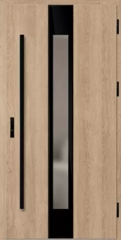 Exterior door with black handles and a glass panel