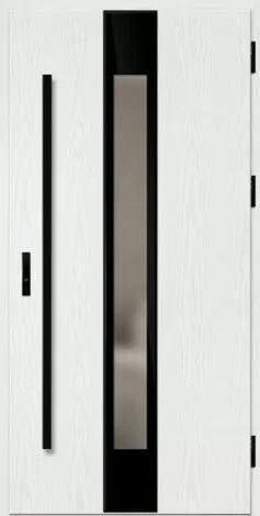 Modern white door with black frames and glass panel