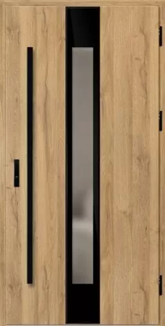 Exterior door set with glass panel and black frames on a white background