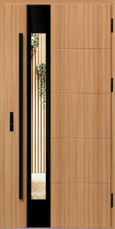 External door with a glass panel and black frame